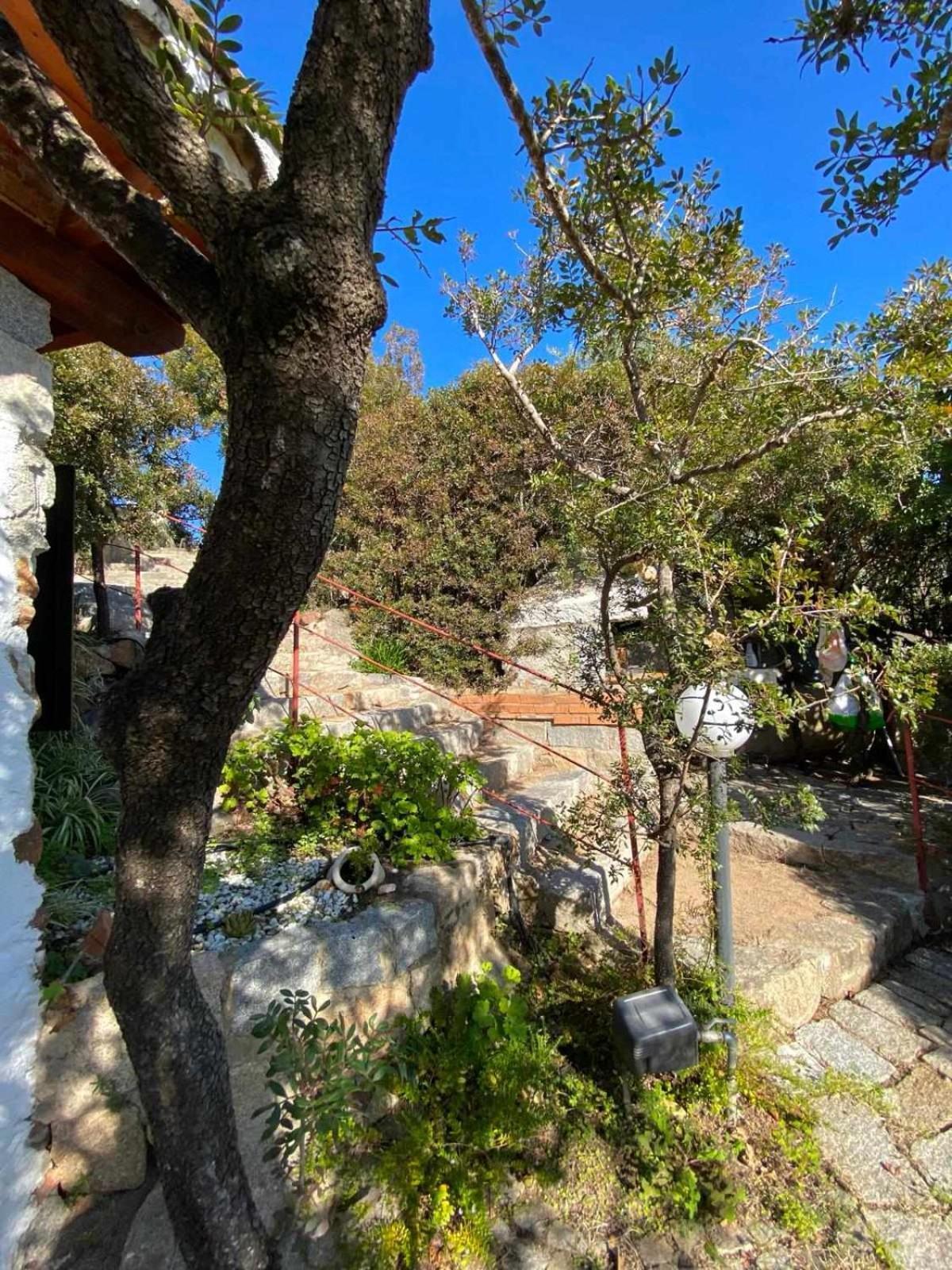 Sa Domu De Orri Al Mare Vila Tortolì Exterior foto