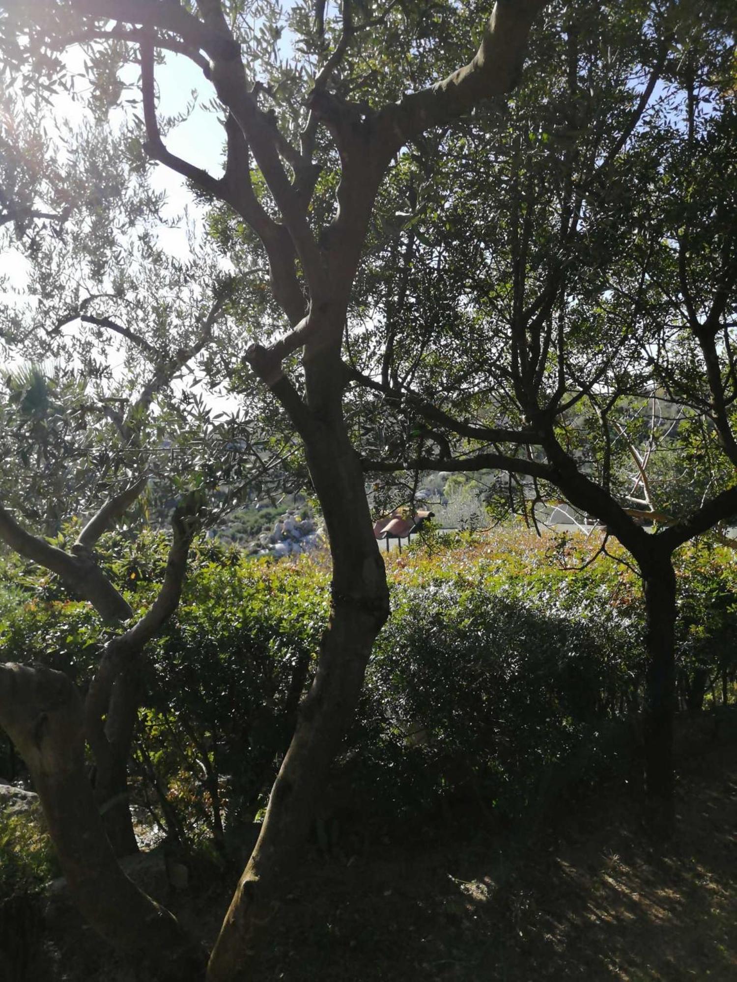 Sa Domu De Orri Al Mare Vila Tortolì Exterior foto